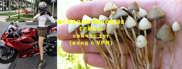 ALPHA PVP Киренск