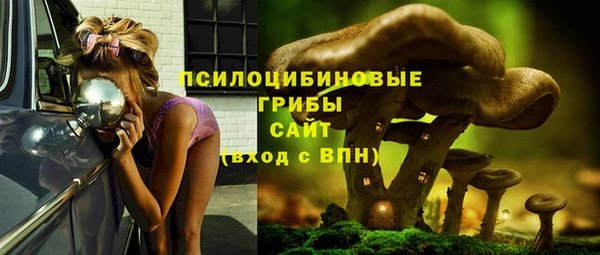 ALPHA PVP Киренск